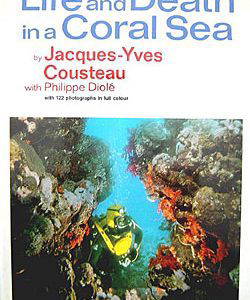Life and Death in a Coral Sea