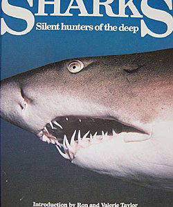 Sharks - Silent Hunters of the Deep